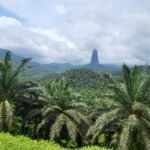 WhatsApp Image 2025-12-29 at 15.04.28