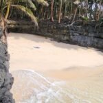 WhatsApp Image 2025-12-29 at 15.04.40