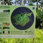 WhatsApp Image 2025-12-29 at 15.04.52