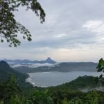 WhatsApp Image 2026-01-03 at 19.36.45