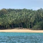 WhatsApp Image 2026-01-03 at 19.36.49