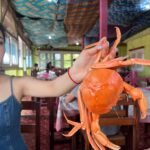 WhatsApp Image 2026-01-03 at 19.37.16 (1)