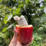 WhatsApp Image 2026-01-03 at 19.37.16