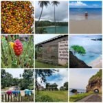 WhatsApp Image 2026-01-03 at 19.37.21 (1)