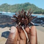 WhatsApp Image 2026-01-03 at 19.37.22 (2)