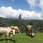 WhatsApp Image 2026-01-03 at 19.37.23