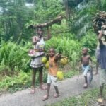 WhatsApp Image 2026-01-03 at 19.37.29 (1)