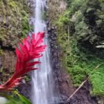 WhatsApp Image 2026-01-03 at 19.37.39