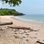 WhatsApp Image 2026-01-03 at 19.37.40 (1)