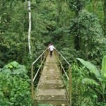 WhatsApp Image 2026-01-03 at 19.37.41 (1)