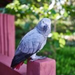 WhatsApp Image 2026-01-03 at 19.37.41