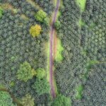 WhatsApp Image 2026-01-03 at 19.37.45 (2)